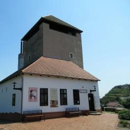 Vármúzeum, Dunaföldvár - Egyéb