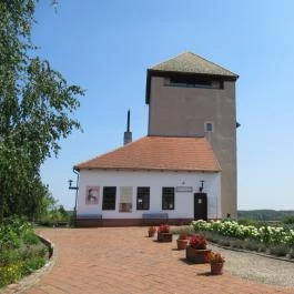 Vármúzeum, Dunaföldvár - Egyéb