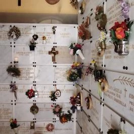 Városmajori Jézus Szíve-templom Budapest - Egyéb