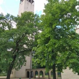 Városmajori Jézus Szíve-templom Budapest - Egyéb