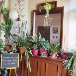 Vasmacska Étterem és Panzió Komárom - Egyéb