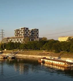 Vasmacska Halsütöde