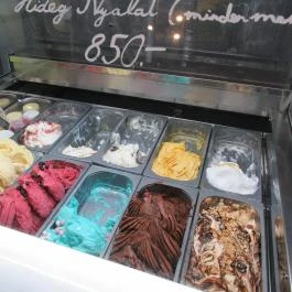 Vasmacska KávéZoo Budapest - Étel/ital