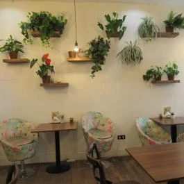 Vasmacska KávéZoo Budapest - Belső