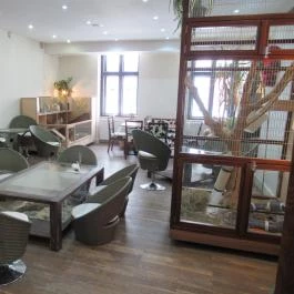 Vasmacska KávéZoo Budapest - Belső