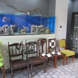 Vasmacska KávéZoo Budapest - Belső