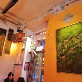 Vatoz, Budapest - Belső