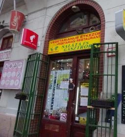 Vegakuckó Saláta & Gasztrobár