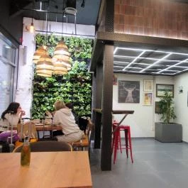 Vegan Garden Budapest - Egyéb