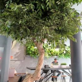 Vegan Love Downtown Budapest - Egyéb