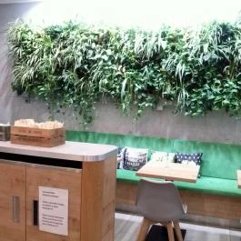 Vegan Love - Vegan Street Food Budapest - Belső