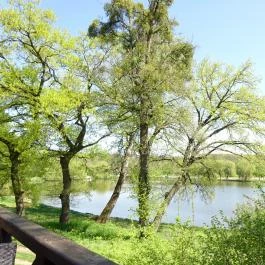 Vendéglő a Négy Remetéhez, Oroszlány - Egyéb