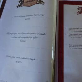 Vendéglő a Négy Remetéhez, Oroszlány - Étlap/itallap