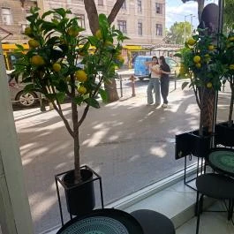 Venezia Gelateria, Budapest - Belső