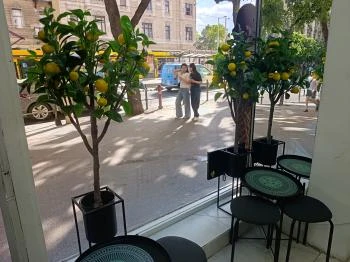 Venezia Gelateria Budapest