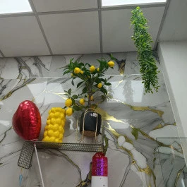Venezia Gelateria, Budapest - Belső