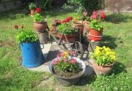 Vértes Múzeum Csákvár