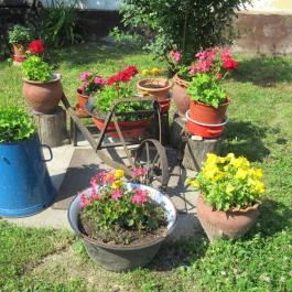 Vértes Múzeum Csákvár - Egyéb