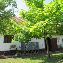 Vértes Múzeum Csákvár - Egyéb