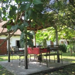 Vértes Múzeum Csákvár - Egyéb