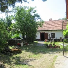 Vértes Múzeum Csákvár - Egyéb