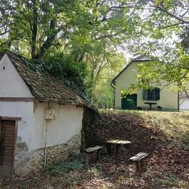 Vértesboglári Pincesor, Vértesboglár - Külső kép