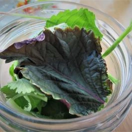 Vietnámi Gulyás Budapest - Étel/ital