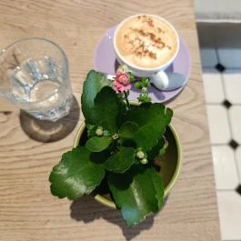 Villa Bagatelle Budapest - Étel/ital