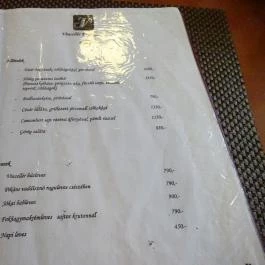 Vincellér Panzió étterme, Gyöngyös - Étlap/itallap