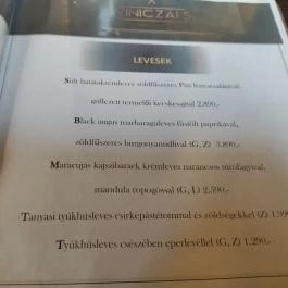 Viniczai's Restaurant & Bar, Székesfehérvár - Étlap/itallap