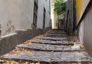 Virág Benedek Ház Budapest