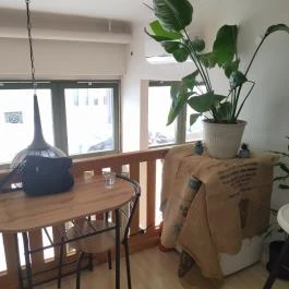 Vivina Cafe Budapest - Belső