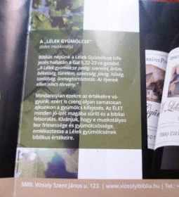 Vizsolyi Református Pincészet