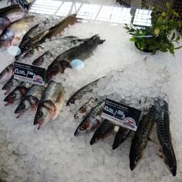 Vörös Homár Belvárosi Halpiac & Gasztrobár, Budapest - Étel/ital