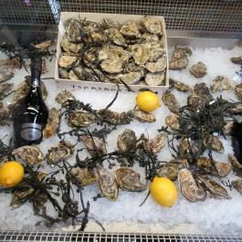 Vörös Homár Belvárosi Halpiac & Gasztrobár, Budapest - Étel/ital