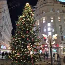 Vörösmarty téri adventi vásár Budapest - Egyéb