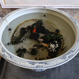 Wanhao Étterem, Budapest - Belső