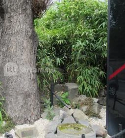 Wasabi Running Sushi & Wok Restaurant - Szépvölgyi út