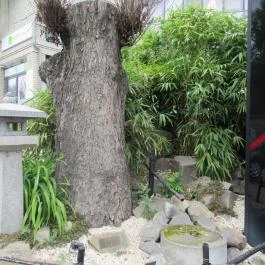 Wasabi Running Sushi & Wok Restaurant - Szépvölgyi út, Budapest - Egyéb