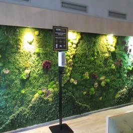 Wasabi Extra Budapest - Belső