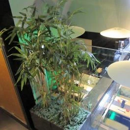 Wasabi Extra Budapest - Belső