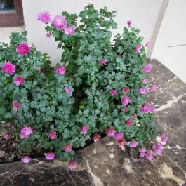 Hotel Wellamarin, Zamárdi - Külső kép