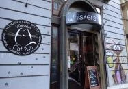 Whiskers Cat Pub Budapest