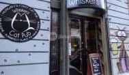 Whiskers Cat Pub Budapest - Külső kép