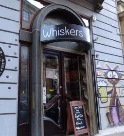 Whiskers Cat Pub