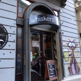 Whiskers Cat Pub Budapest - Külső kép