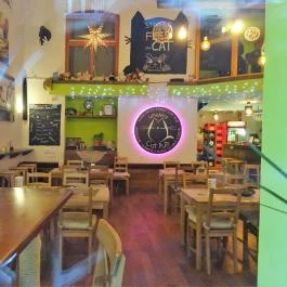 Whiskers Cat Pub Budapest - Belső