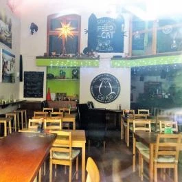 Whiskers Cat Pub Budapest - Belső