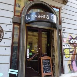 Whiskers Cat Pub Budapest - Külső kép
