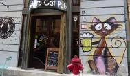 Whiskers Cat Pub Budapest - Külső kép
